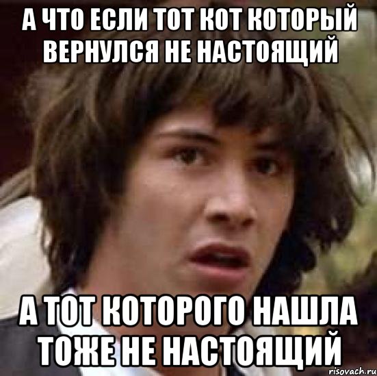 А ЧТО ЕСЛИ ТОТ КОТ КОТОРЫЙ ВЕРНУЛСЯ НЕ НАСТОЯЩИЙ А ТОТ КОТОРОГО НАШЛА ТОЖЕ НЕ НАСТОЯЩИЙ, Мем А что если (Киану Ривз)