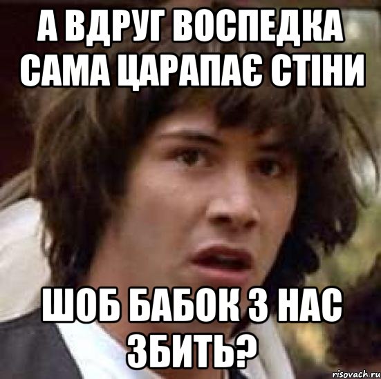 а вдруг воспедка сама царапає стіни шоб бабок з нас збить?, Мем А что если (Киану Ривз)