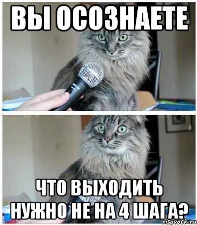 Вы осознаете Что выходить нужно не на 4 шага?, Комикс  кот с микрофоном