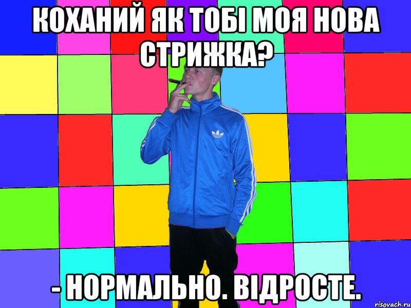 коханий як тобі моя нова стрижка? - Нормально. Відросте.