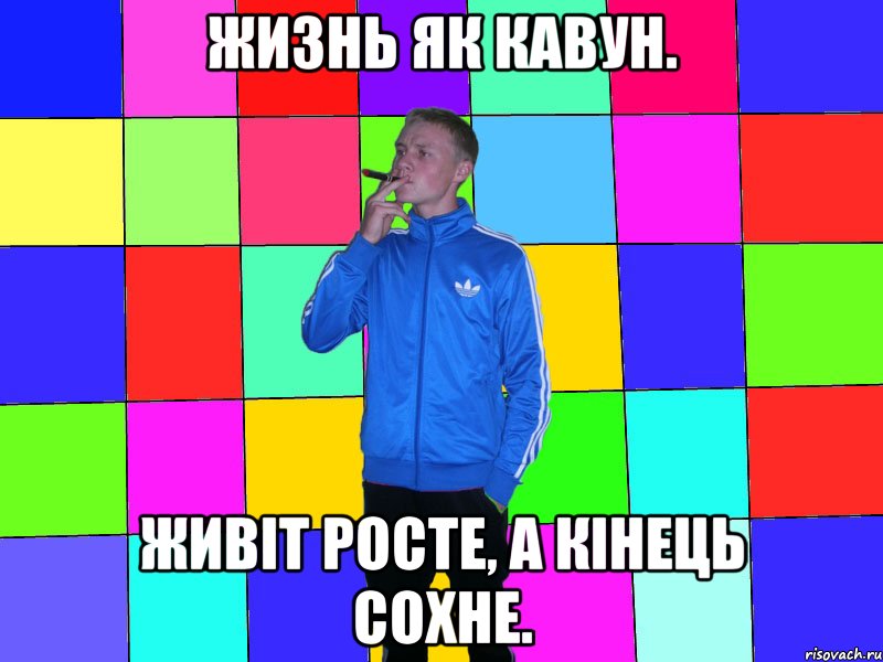 жизнь як кавун. Живіт росте, а кінець сохне.