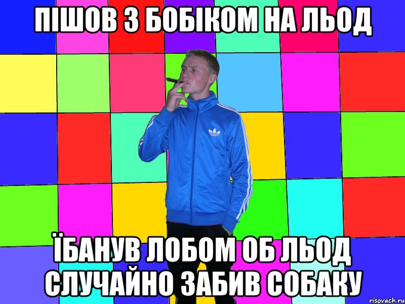 пішов з бобіком на льод їбанув лобом об льод случайно забив собаку