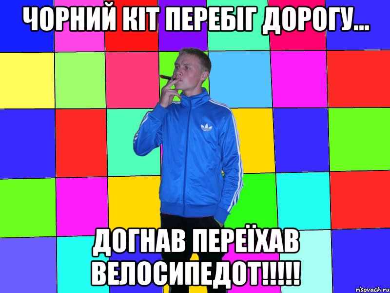 чорний кіт перебіг дорогу... догнав переїхав велосипедот!!!!!
