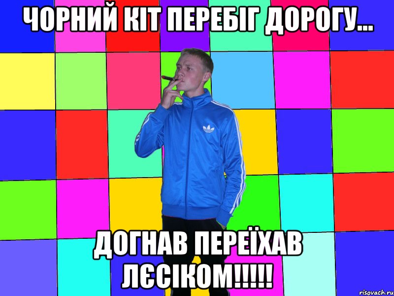 чорний кіт перебіг дорогу... догнав переїхав лєсіком!!!!!