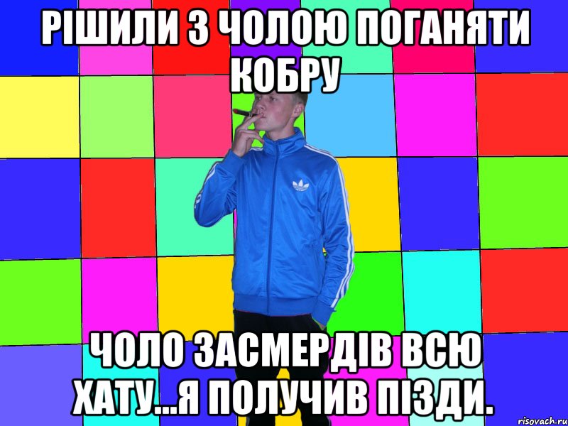 рішили з чолою поганяти кобру чоло засмердів всю хату...я получив пізди.