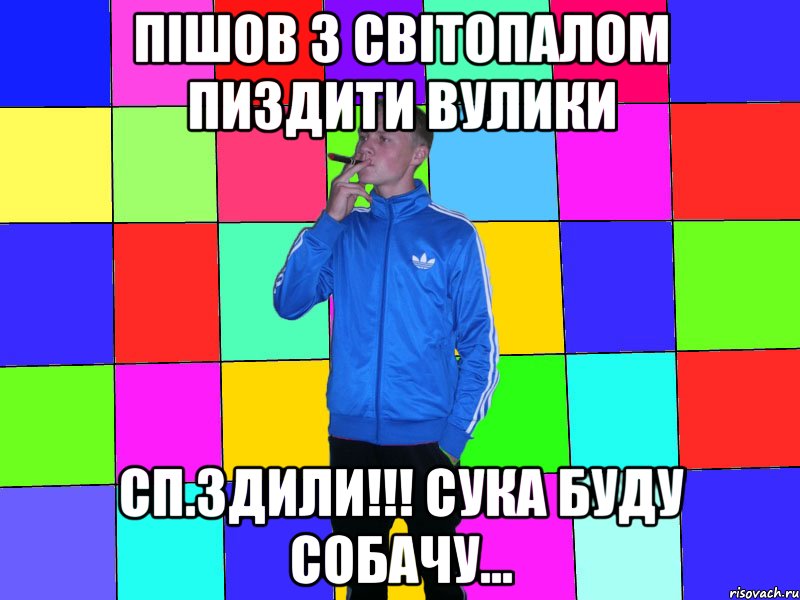 пішов з світопалом пиздити вулики сп.здили!!! сука буду собачу...