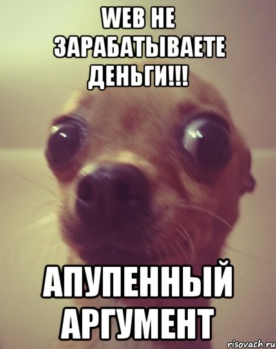 WEB не зарабатываете деньги!!! Апупенный аргумент
