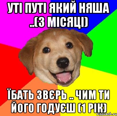 Уті путі який няша ..(3 місяці) їбать звєрь .. чим ти його годуєш (1 рік), Мем Advice Dog