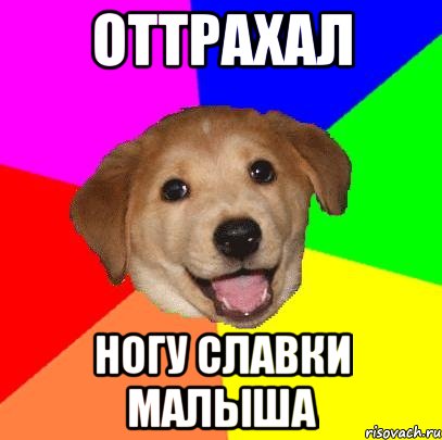 оттрахал ногу славки малыша, Мем Advice Dog