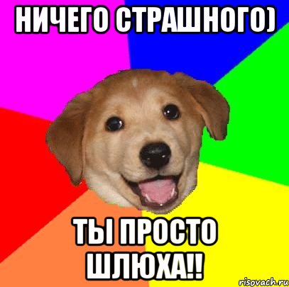 Ничего страшного) Ты просто шлюха!!, Мем Advice Dog