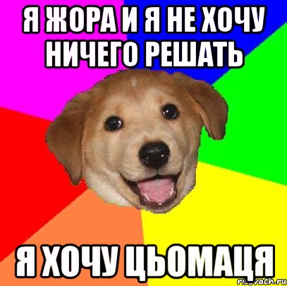 я Жора и я не хочу ничего решать я хочу цьомаця, Мем Advice Dog