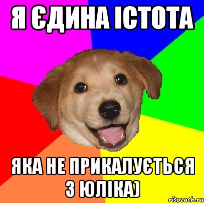 Я єдина істота яка не прикалується з Юліка), Мем Advice Dog