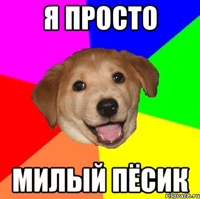 я просто милый пёсик, Мем Advice Dog