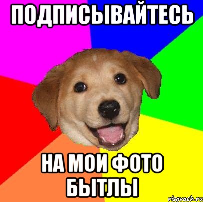 подписывайтесь на мои фото бытлы, Мем Advice Dog