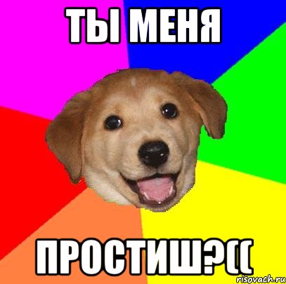 Ты меня простиш?((, Мем Advice Dog