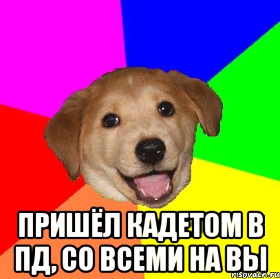  Пришёл кадетом в ПД, со всеми на Вы, Мем Advice Dog