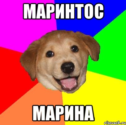 Маринтос Марина, Мем Advice Dog