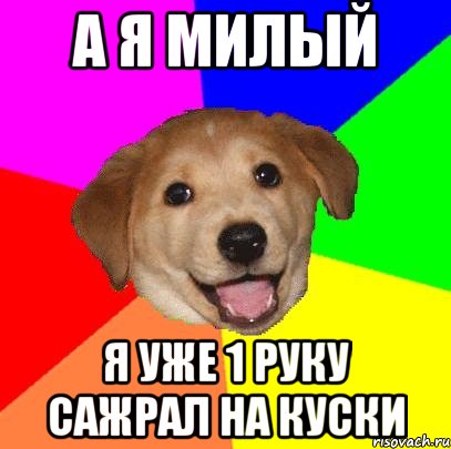 А я милый Я уже 1 руку сажрал на куски, Мем Advice Dog