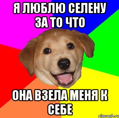 Я люблю Селену за то что Она взела меня к себе, Мем Advice Dog