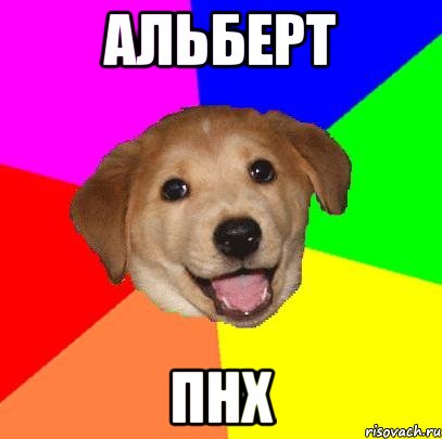 альберт пнх, Мем Advice Dog