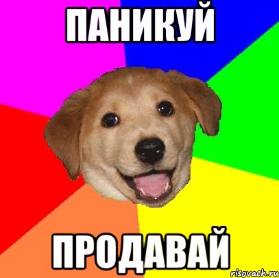 ПАНИКУЙ ПРОДАВАЙ, Мем Advice Dog