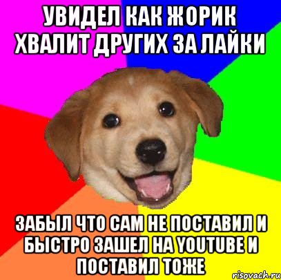 увидел как жорик хвалит других за лайки забыл что сам не поставил и быстро зашел на youtube и поставил тоже, Мем Advice Dog