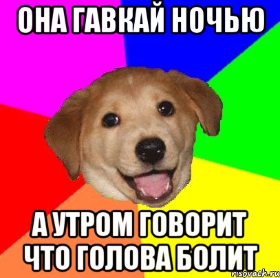 она гавкай ночью а утром говорит что голова болит, Мем Advice Dog