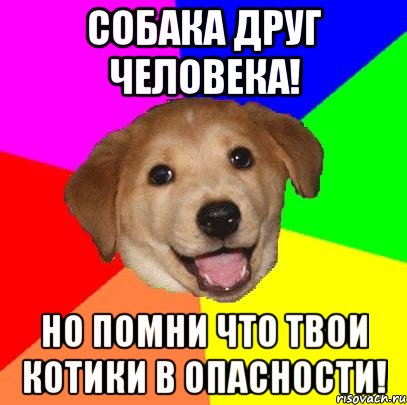 Собака друг человека! Но помни что твои котики в опасности!, Мем Advice Dog