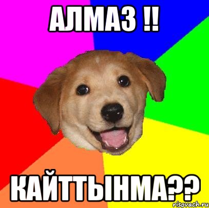 Алмаз !! Кайттынма??, Мем Advice Dog