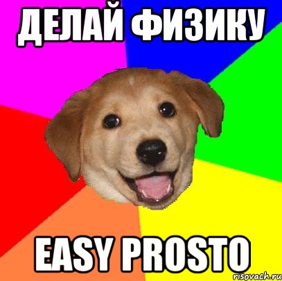 Делай физику Easy prosto, Мем Advice Dog