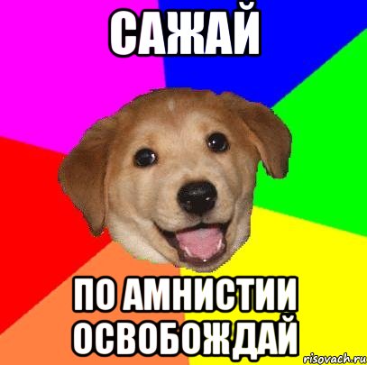 сажай по амнистии освобождай, Мем Advice Dog