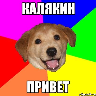 Калякин привет, Мем Advice Dog