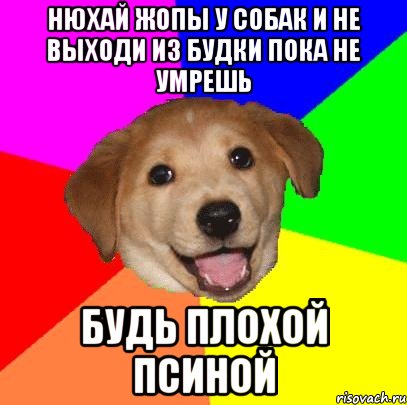 Нюхай жопы у собак и не выходи из будки пока не умрешь будь плохой псиной, Мем Advice Dog