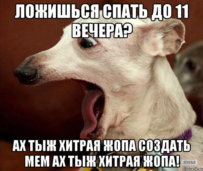 Ложишься спать до 11 вечера? АХ ТЫЖ ХИТРАЯ ЖОПА Создать мем АХ ТЫЖ ХИТРАЯ ЖОПА!