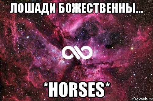 Лошади божественны... *horses*, Мем офигенно