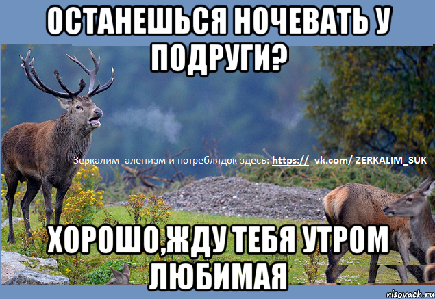 останешься ночевать у подруги? хорошо,жду тебя утром любимая
