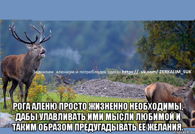 Рога аленю просто жизненно необходимы, дабы улавливать ими мысли любимой и таким образом предугадывать её желания.