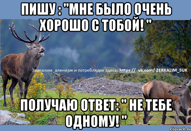 Пишу : "Мне было очень хорошо с тобой! " Получаю ответ: " Не тебе одному! "