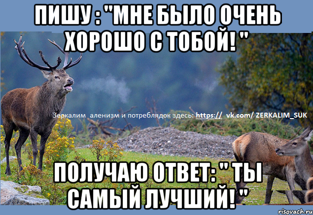 Пишу : "Мне было очень хорошо с тобой! " Получаю ответ: " ты самый лучший! "