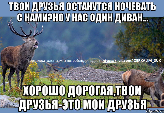 твои друзья останутся ночевать с нами?но у нас один диван... хорошо дорогая,твои друзья-это мои друзья