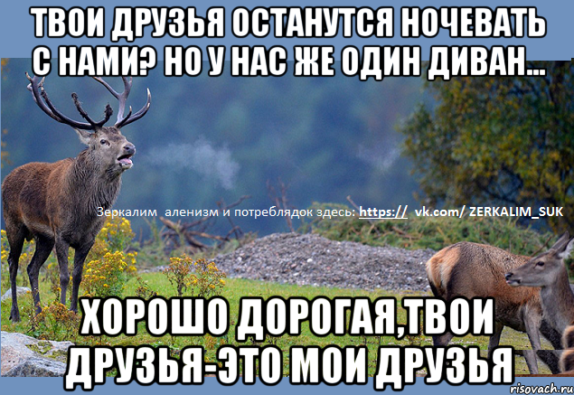 твои друзья останутся ночевать с нами? но у нас же один диван... хорошо дорогая,твои друзья-это мои друзья