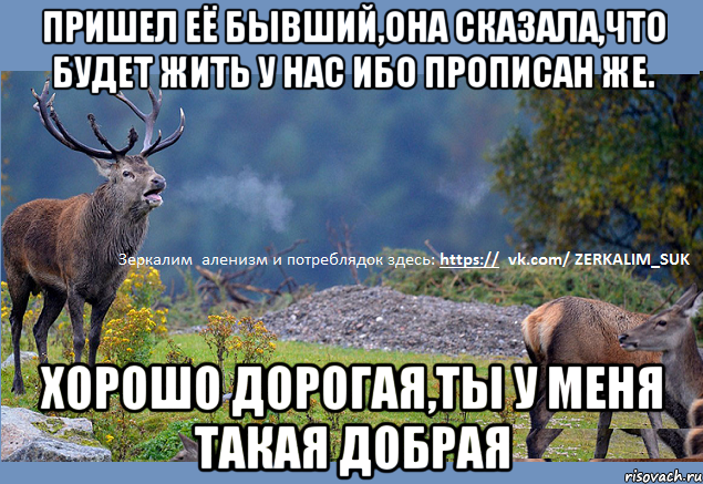пришел её бывший,она сказала,что будет жить у нас ибо прописан же. Хорошо дорогая,ты у меня такая добрая