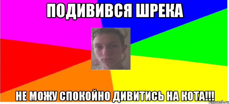 Подивився Шрека не можу спокойно дивитись на кота!!!