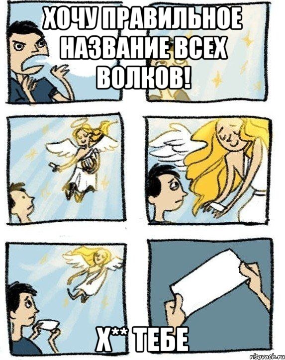 Хочу правильное название всех волков! Х** тебе, Комикс  Дохфига хочешь