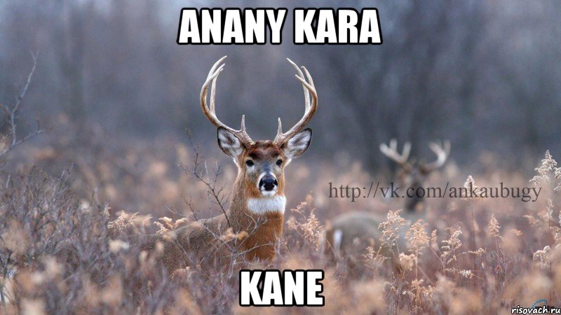 anany kara kane