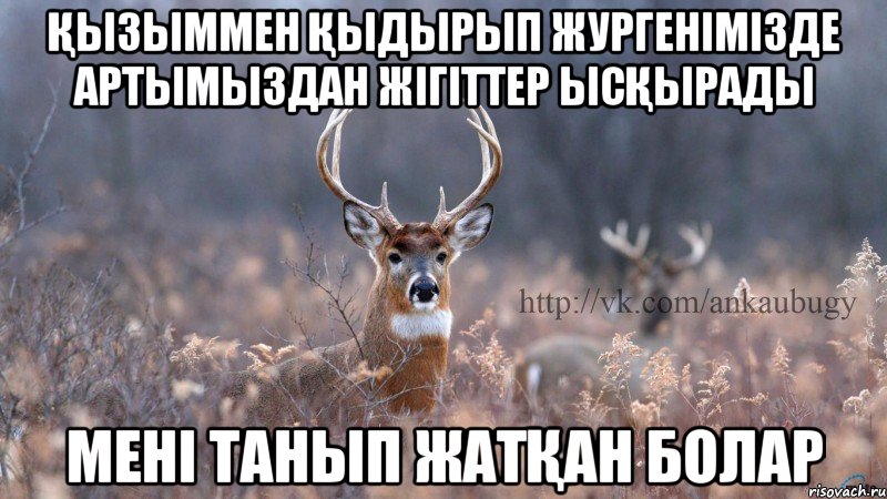 Қызыммен қыдырып жургенімізде артымыздан жігіттер ысқырады Мені танып жатқан болар