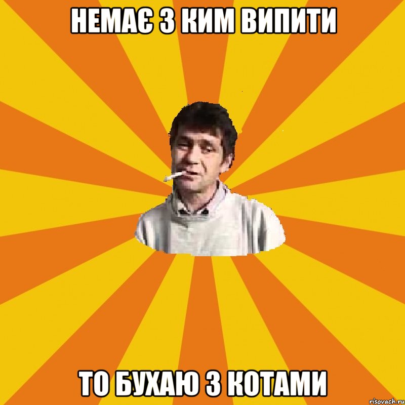немає з ким випити то бухаю з котами