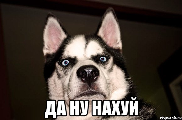  да ну нахуй, Мем аввав