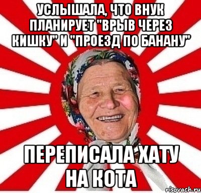 Услышала, что внук планирует "врыв через кишку" и "проезд по банану" Переписала хату на кота, Мем  бабуля