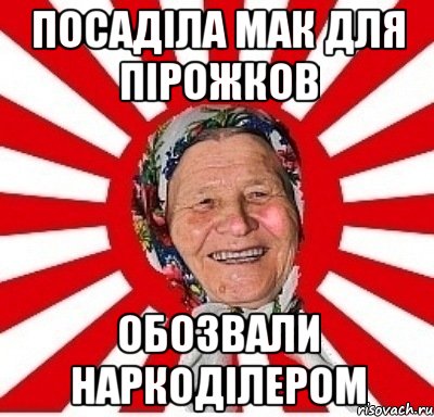 посаділа мак для пірожков обозвали наркоділером, Мем  бабуля